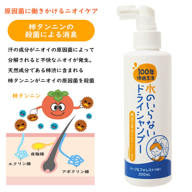 Elderly Hair Wash Without Water